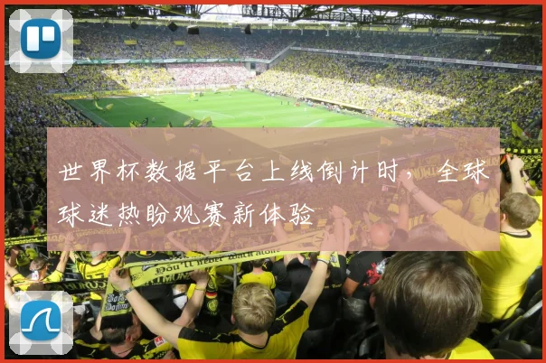 世界杯数据平台上线倒计时,全球球迷热盼观赛新体验