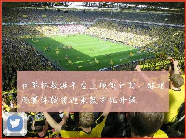 世界杯数据平台上线倒计时，球迷观赛体验将迎来数字化升级